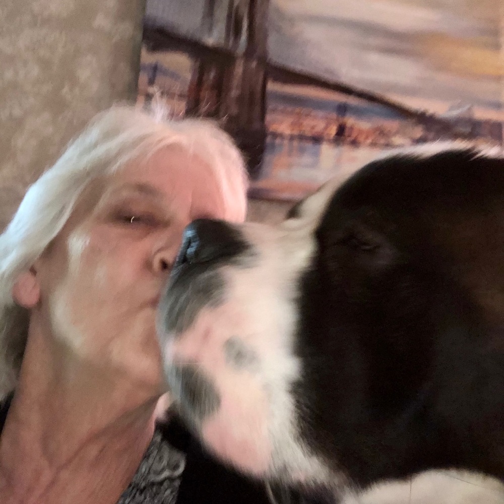 Meet your Posher, Patti